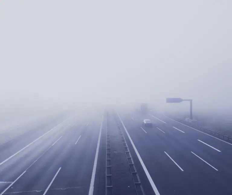 seatbelt cameras nsw